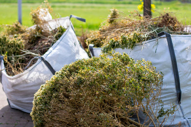 Best Carpet Removal and Disposal  in Pontiac, MI